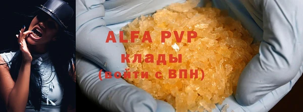 молекула духа Алексин