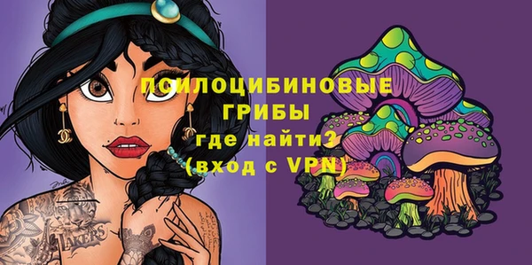 молекула духа Алексин