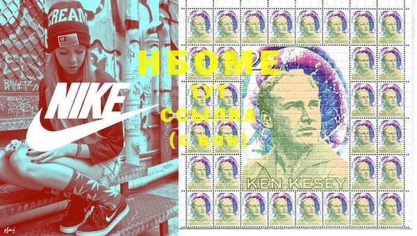 индика Абаза
