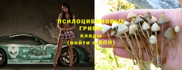 a pvp Алзамай