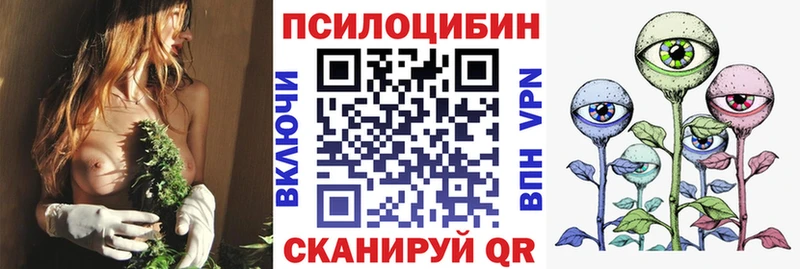 Псилоцибиновые грибы Cubensis  Приозерск 